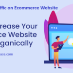 Get Maximum Traffic on Your Ecommerce Website